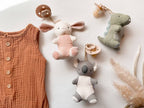 Bitzy Pal Natural Rubber Pacifier & Plush - Premium  from Itzy Ritzy - Just $14.95! Shop now at Pat's Monograms