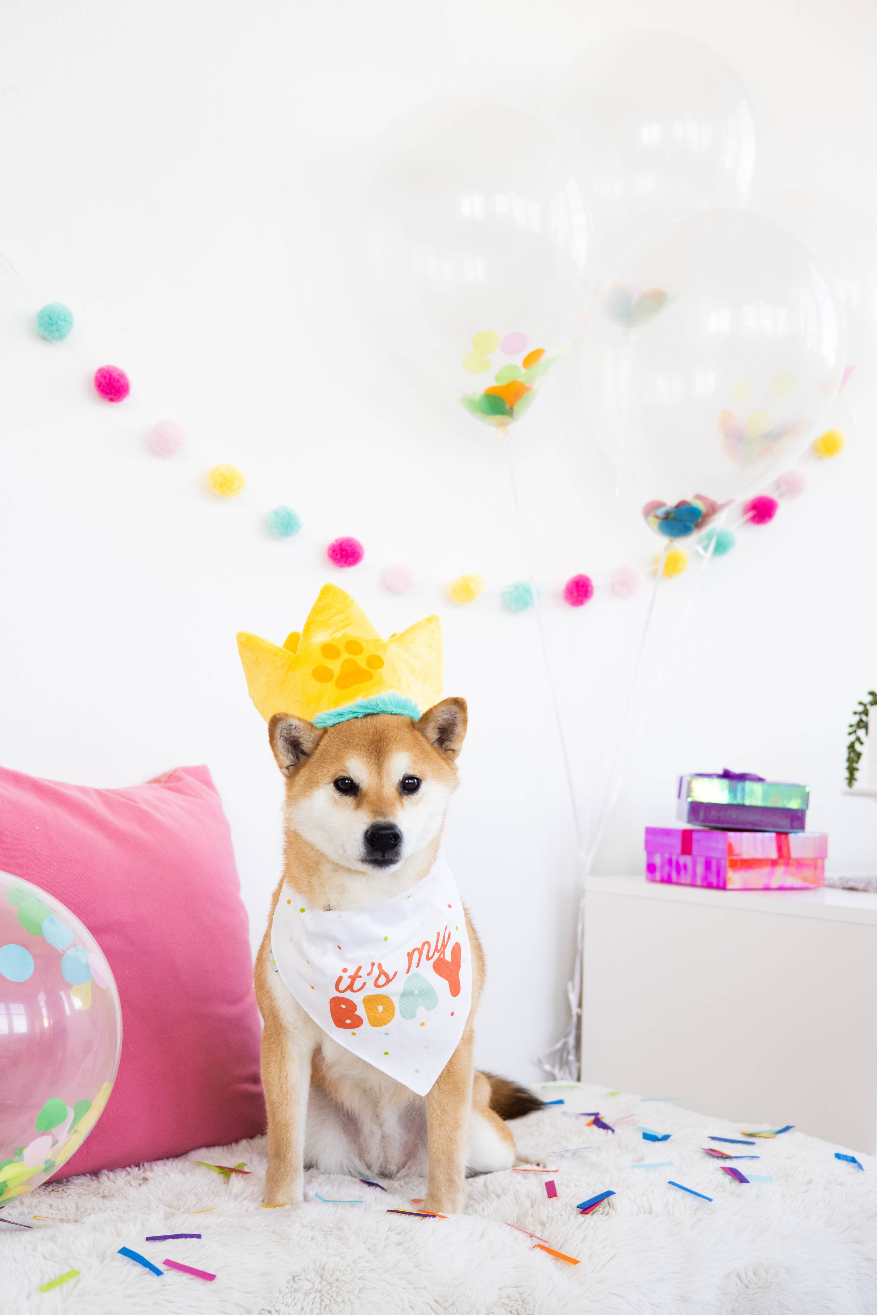 Happy Barkday M/L Bandana Hat Set - Premium Pet Accessories from Pearhead - Just $12.95! Shop now at Pat's Monograms