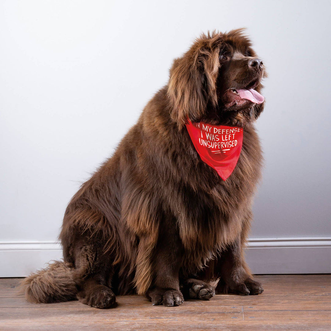 Defense/Warning Large Pet Bandana - Premium Dog Bandana from Primitives by Kathy - Just $12.65! Shop now at Pat's Monograms