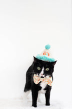 Happy Purrday Cat Hat and Bowtie Set - Premium Pet Accessories from Pearhead - Just $9.95! Shop now at Pat's Monograms