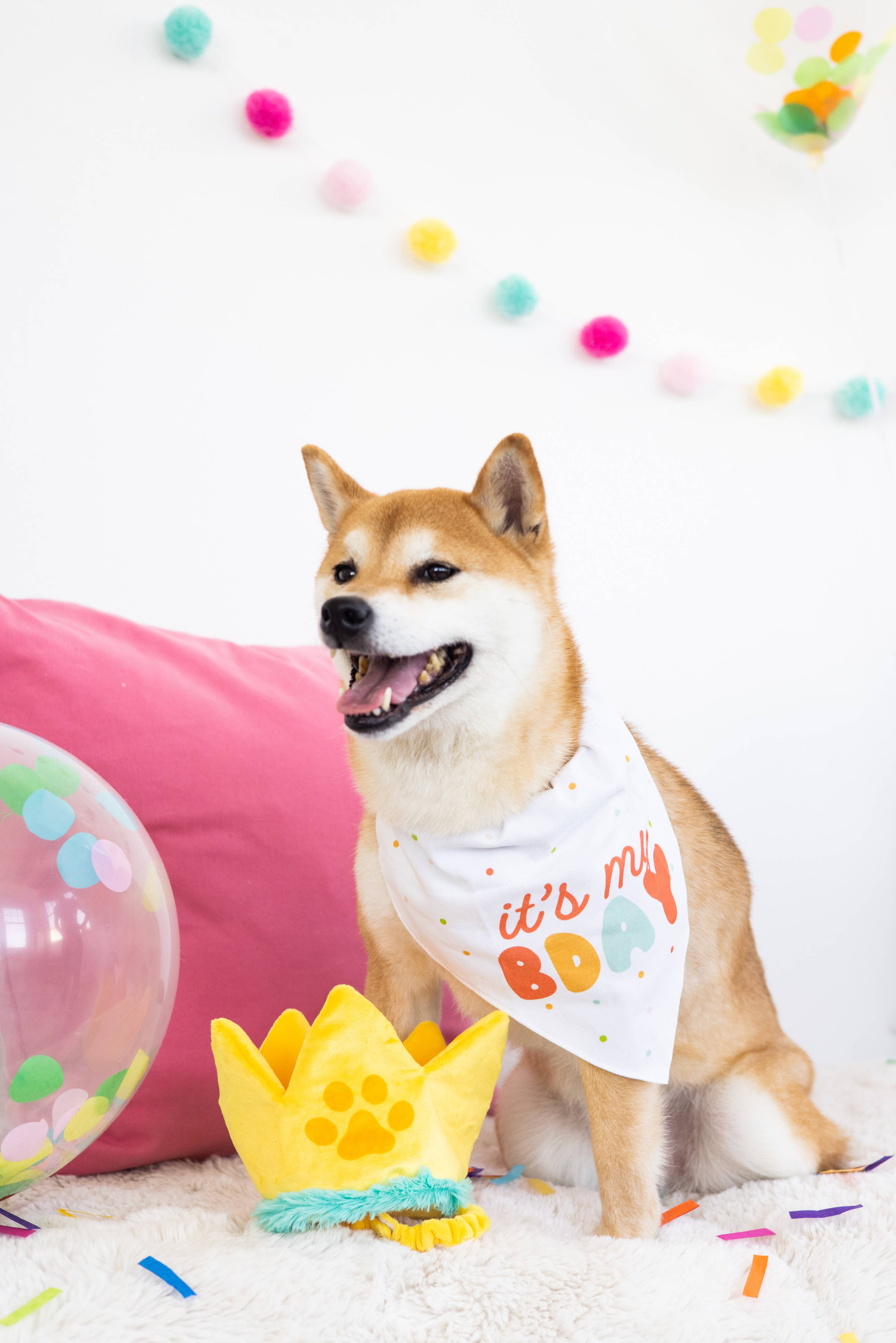 Happy Barkday M/L Bandana Hat Set - Premium Pet Accessories from Pearhead - Just $12.95! Shop now at Pat's Monograms