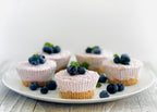 Wild Blueberry Cheesecake Dip Mix - Premium  from Carmie's Kitchen - Just $5! Shop now at Pat's Monograms