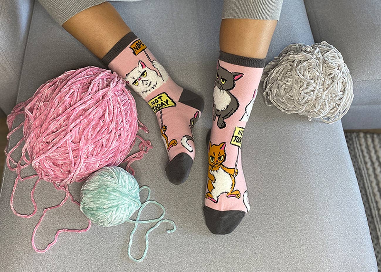 Not Today | Women's Cotton Crew Funny Socks - Premium Socks from Oooh Yeah/Sock It Up/Oooh Geez Slippers - Just $11.95! Shop now at Pat's Monograms