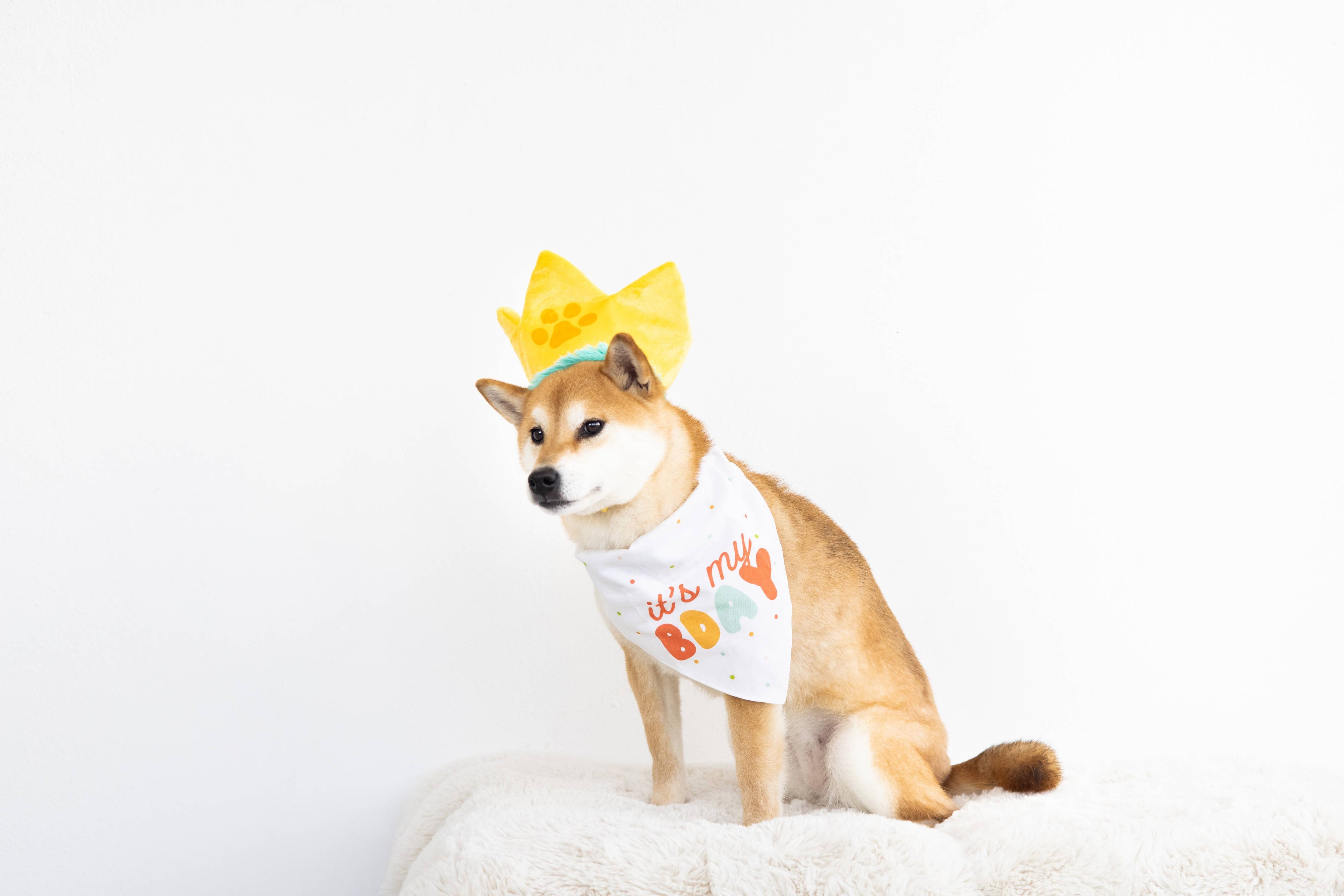 Happy Barkday M/L Bandana Hat Set - Premium Pet Accessories from Pearhead - Just $12.95! Shop now at Pat's Monograms