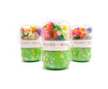 Grab N Go Dough Jar - Gardening - Premium Play Sets from Young Wild & Friedman - Just $14.95! Shop now at Pat's Monograms