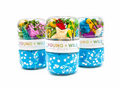 Mermaid Ocean Grab N Go Dough Jar - Premium Play Sets from Young Wild & Friedman - Just $14.95! Shop now at Pat's Monograms