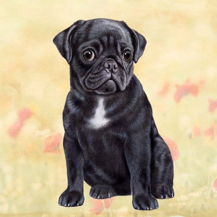 Pug Black Square Coaster - Premium coaster from E&S Pets - Just $4.50! Shop now at Pat's Monograms