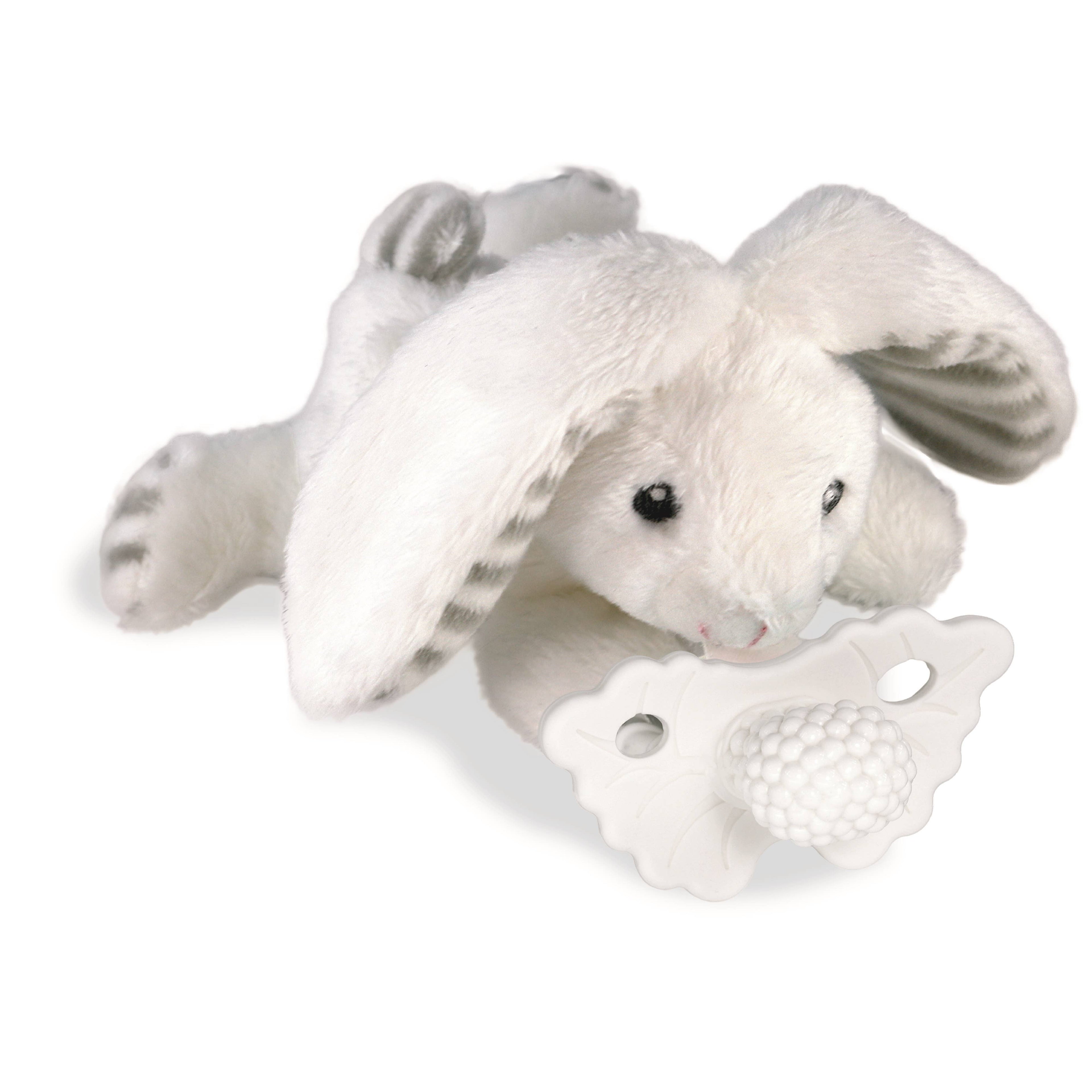 RaZbuddy Coco Bunny Paci/Teether Holder: JollyPop Pacifier - Premium  from RaZbaby - Just $13.99! Shop now at Pat's Monograms