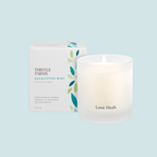 Eucalyptus Mint Soy Candle Love Heals Collection - Premium candles from Thistle Farms - Just $32! Shop now at Pat's Monograms