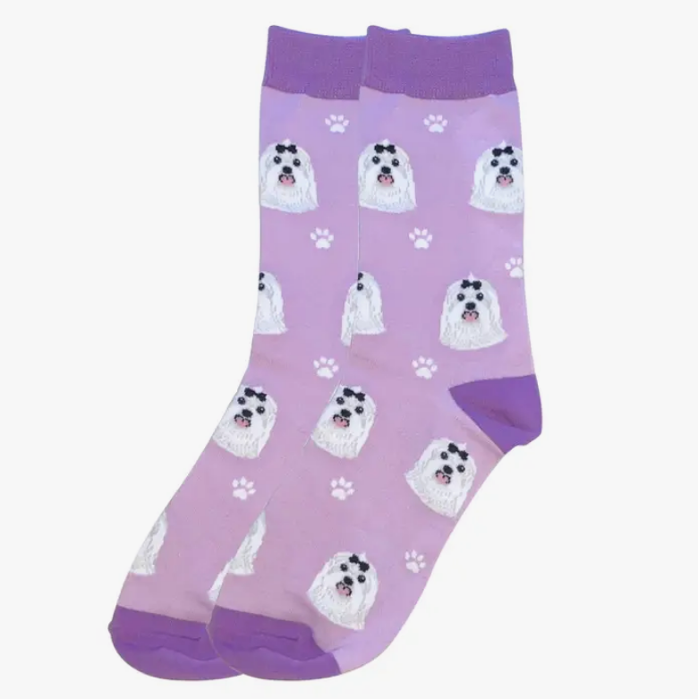 Maltese Socks - Premium Socks from Sock Daddy - Just $10.95! Shop now at Pat's Monograms