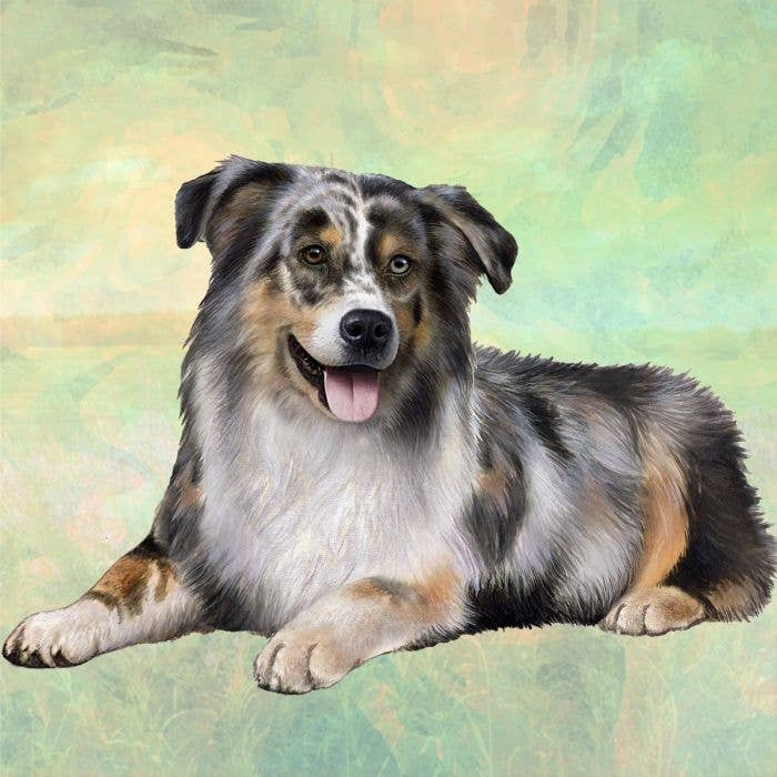 Australian Shepherd Square Coaster - Premium coasters from E&S Pets - Just $4.95! Shop now at Pat's Monograms