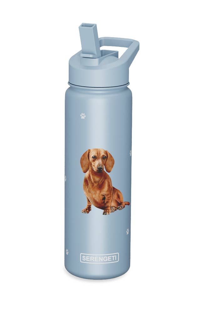 Dachshund Red Stainless Steel Water Bottle 24 Oz. SERENGETI - Premium  from E&S Pets - Just $29.99! Shop now at Pat's Monograms