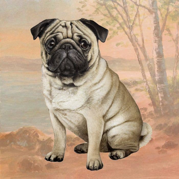 Pug Square Coaster - Premium  from E&S Pets - Just $4.95! Shop now at Pat's Monograms