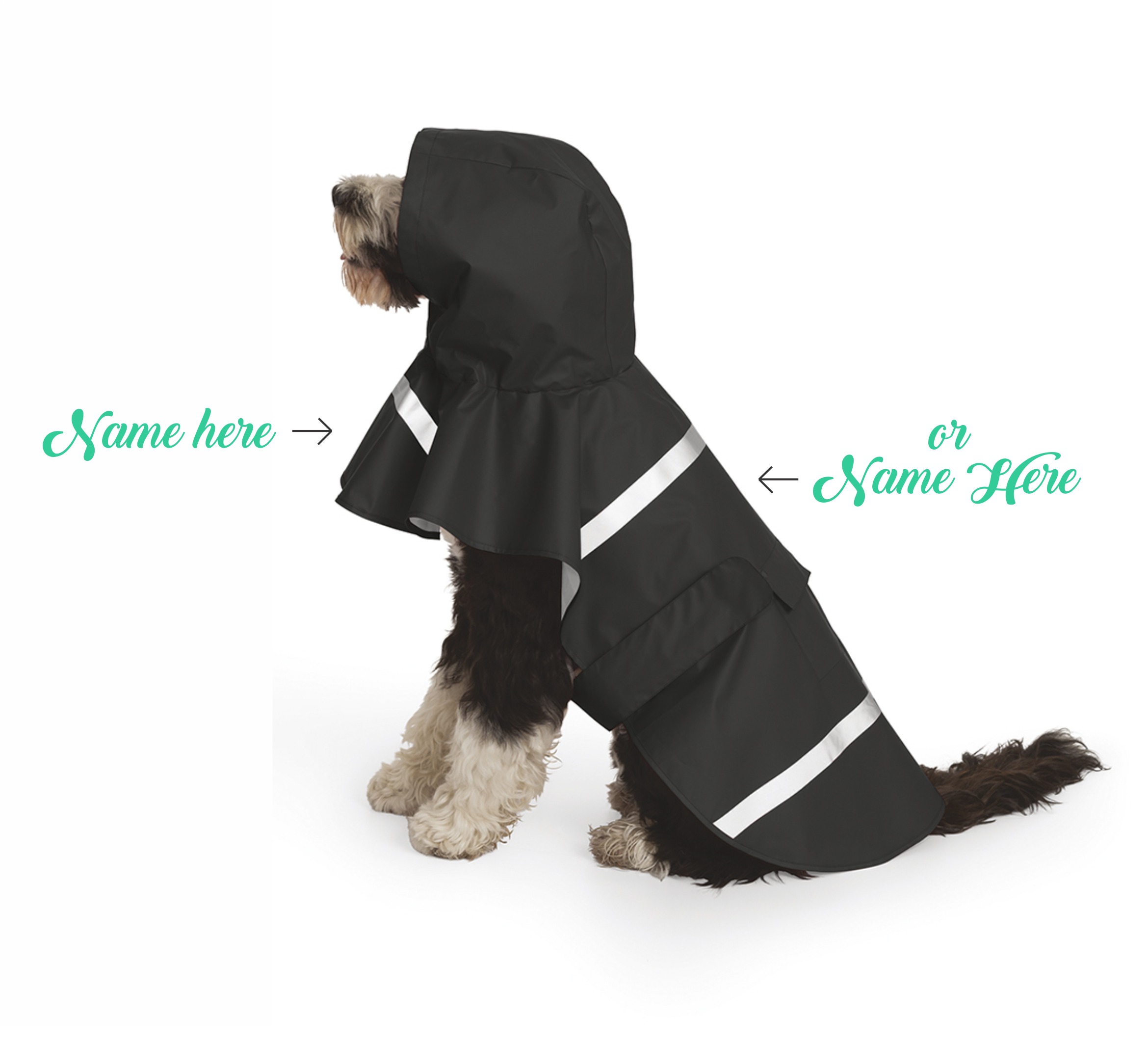 CR Dog New Englander - Premium Pet Accessories from Charles River Apparel - Just $32! Shop now at Pat's Monograms